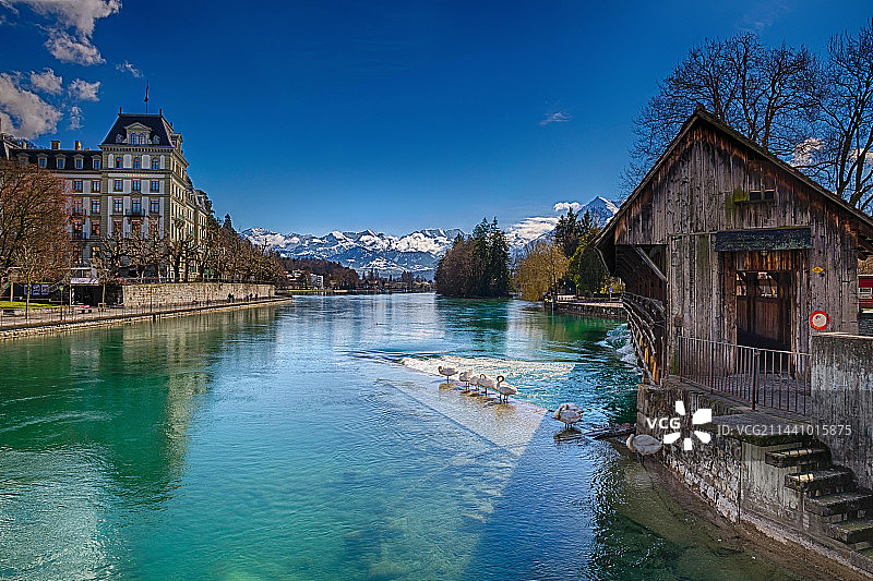 丛林瀑布湖面图片素材