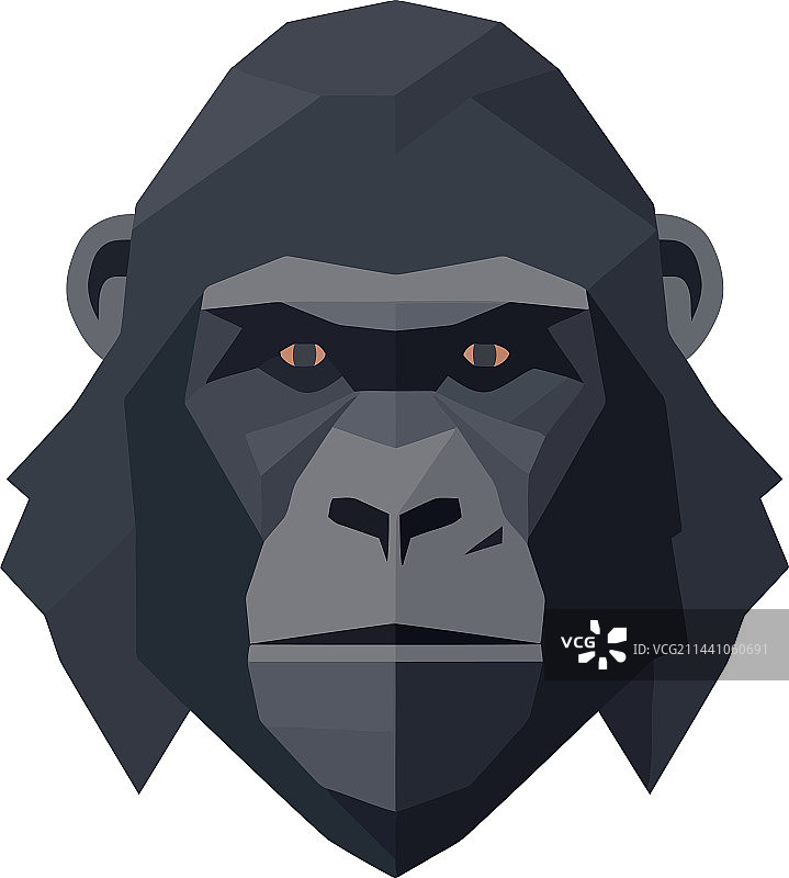 大猩猩面部设计图片素材