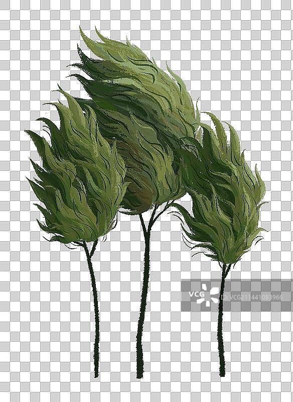 治愈系小清新插画刮风时摇摆的树图片素材
