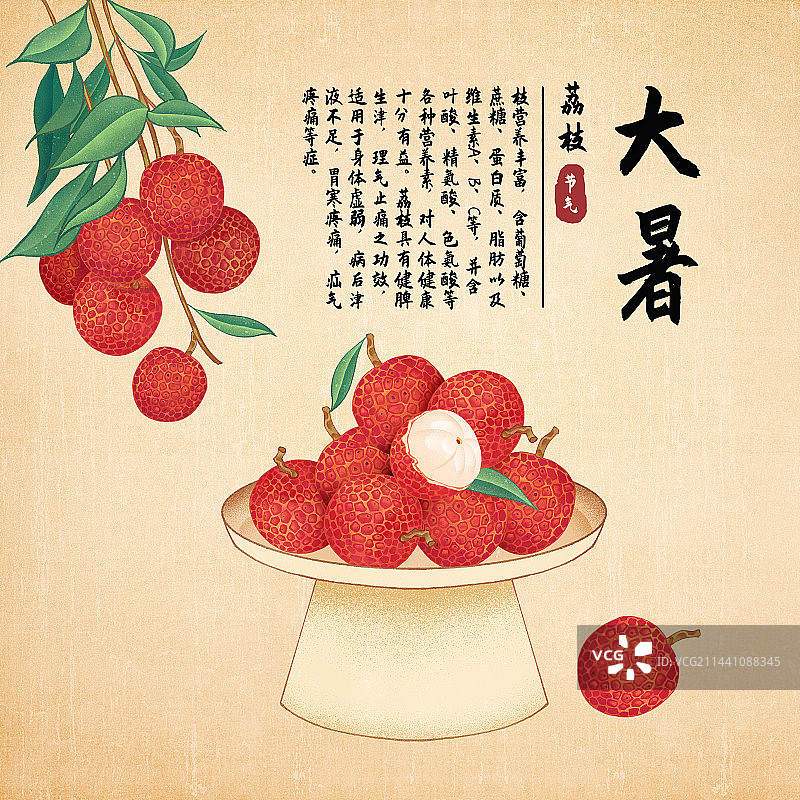 二十四节气大暑美食水果荔枝插画模板海报图片素材