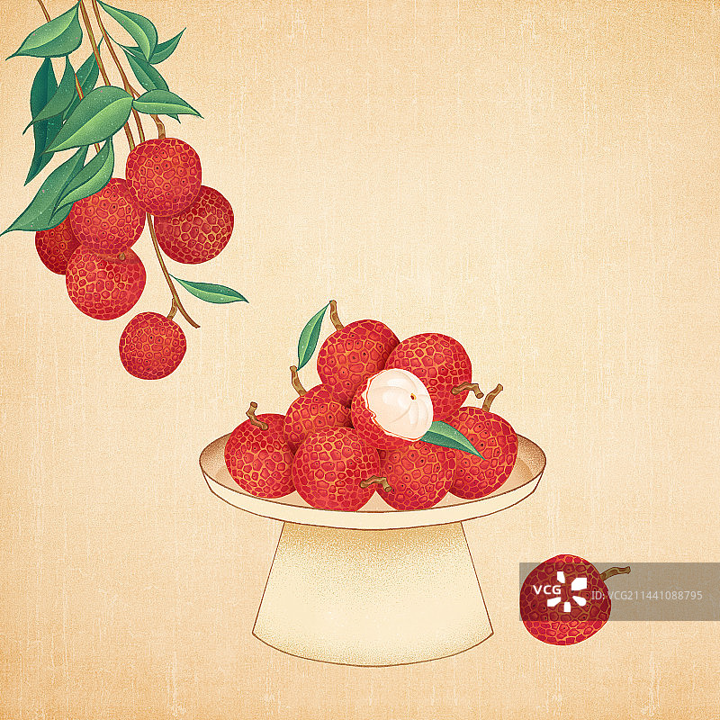 二十四节气大暑美食水果荔枝插画图片素材