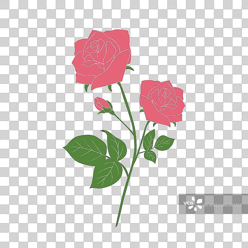 红色的玫瑰花图片素材