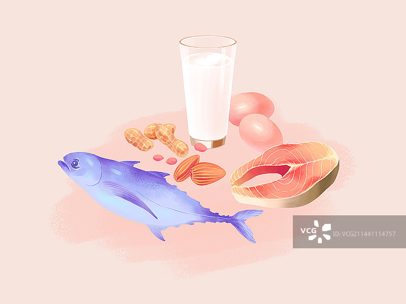 鱼类奶制品坚果鸡蛋等蛋白质的手绘食物插画图片素材