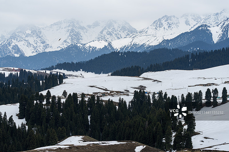 江布拉克图片素材