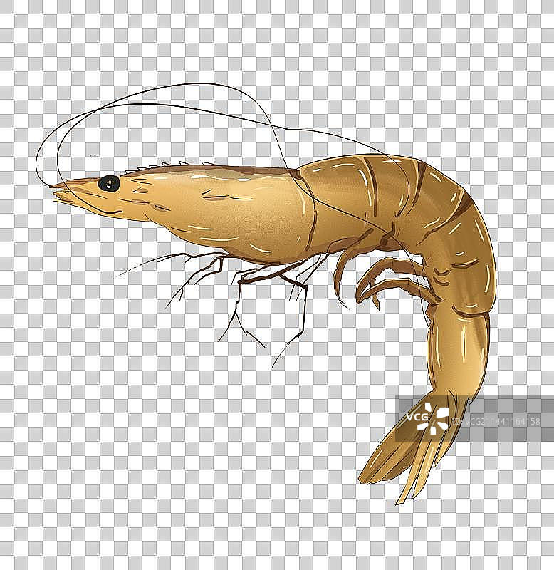 国潮插画元素大虾图片素材