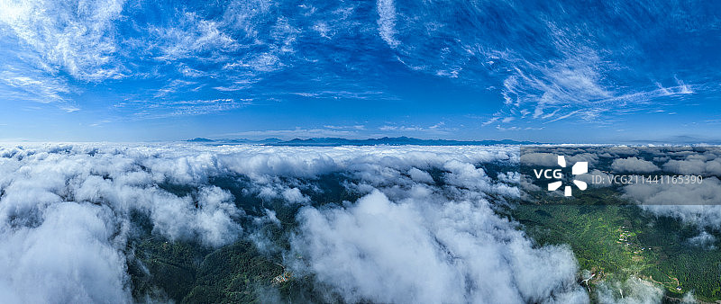 云雾中的蒋家坪凤凰茶山图片素材