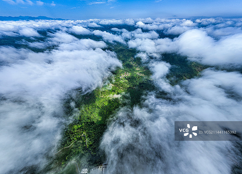 云雾中的蒋家坪凤凰茶山图片素材