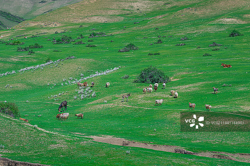 新疆乌鲁木齐南山牧场 景区 蓝天白云草原图片素材