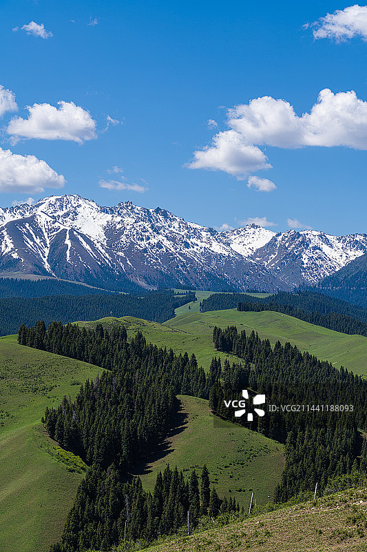 新疆乌鲁木齐南山牧场 景区 蓝天白云草原图片素材
