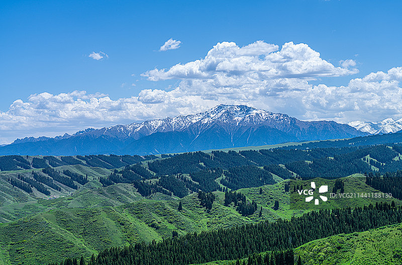 新疆乌鲁木齐南山牧场 景区 蓝天白云草原图片素材