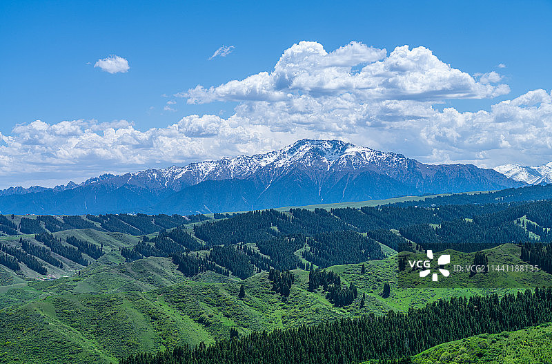 新疆乌鲁木齐南山牧场 景区 蓝天白云草原图片素材