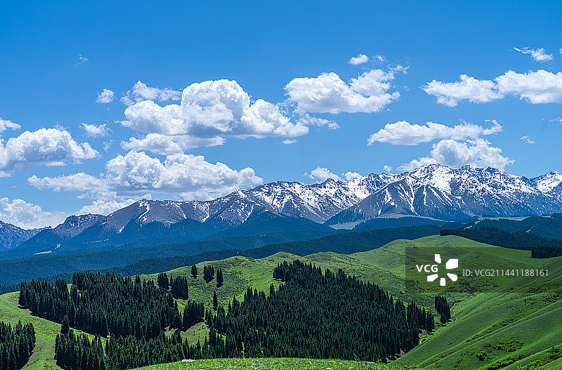 新疆乌鲁木齐南山牧场 景区 蓝天白云草原图片素材