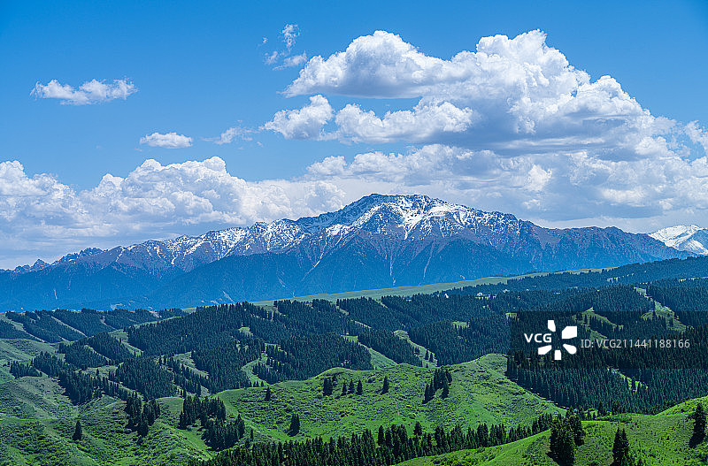 新疆乌鲁木齐南山牧场 景区 蓝天白云草原图片素材