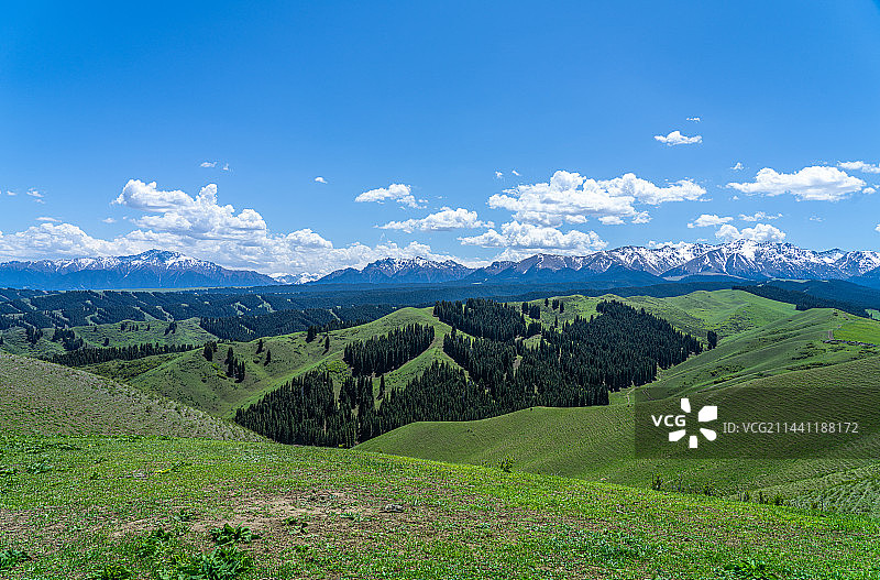 新疆乌鲁木齐南山牧场 景区 蓝天白云草原图片素材