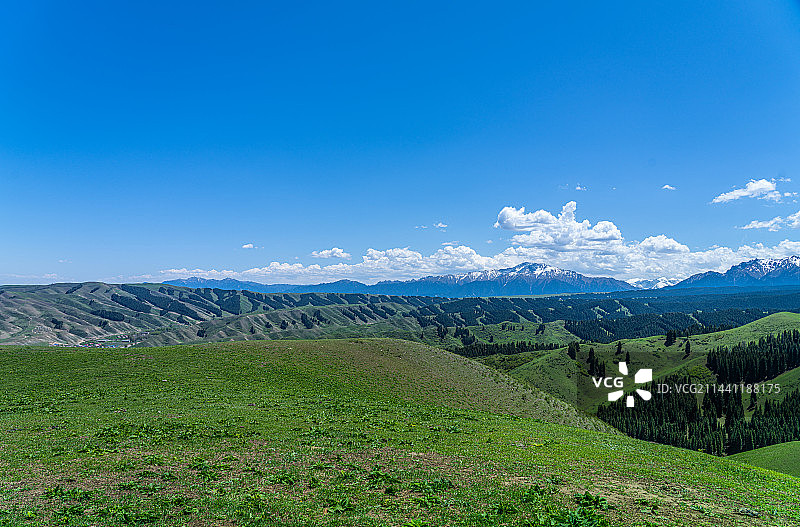 新疆乌鲁木齐南山牧场 景区 蓝天白云草原图片素材