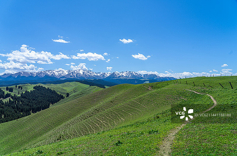 新疆乌鲁木齐南山牧场 景区 蓝天白云草原图片素材
