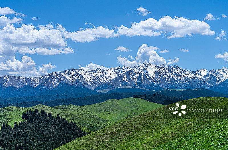 新疆乌鲁木齐南山牧场 景区 蓝天白云草原图片素材