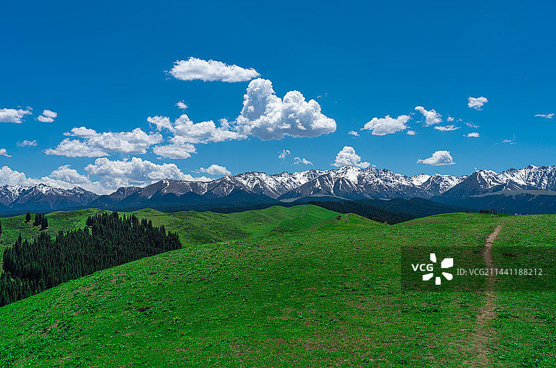 新疆乌鲁木齐南山牧场 景区 蓝天白云草原图片素材