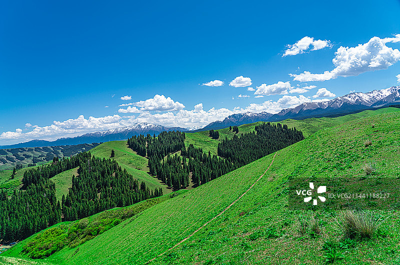新疆乌鲁木齐南山牧场 景区 蓝天白云草原图片素材