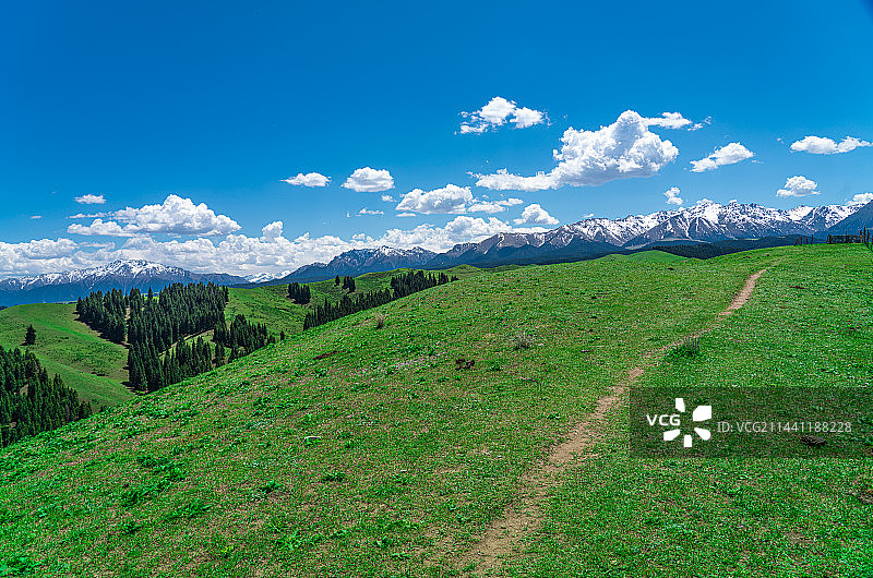 新疆乌鲁木齐南山牧场 景区 蓝天白云草原图片素材