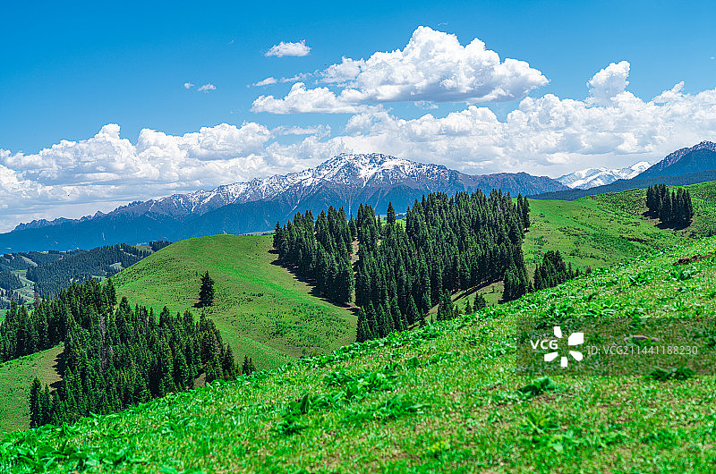 新疆乌鲁木齐南山牧场 景区 蓝天白云草原图片素材