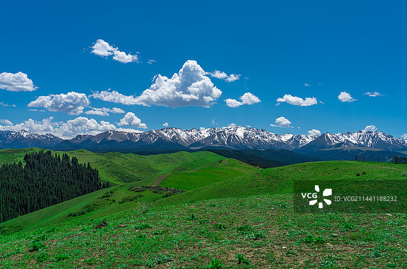 新疆乌鲁木齐南山牧场 景区 蓝天白云草原图片素材