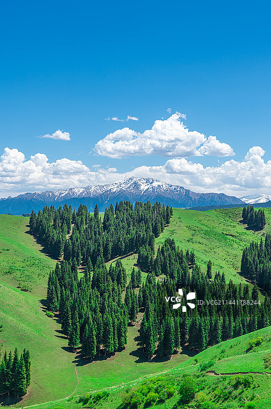 新疆乌鲁木齐南山牧场 景区 蓝天白云草原图片素材