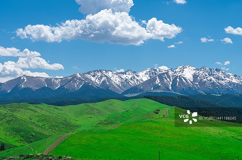 新疆乌鲁木齐南山牧场 景区 蓝天白云草原图片素材
