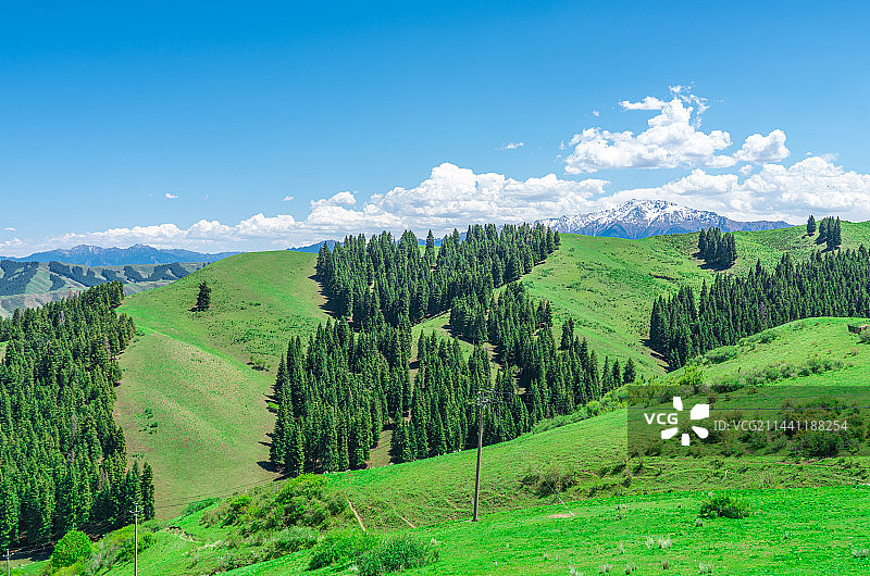 新疆乌鲁木齐南山牧场 景区 蓝天白云草原图片素材