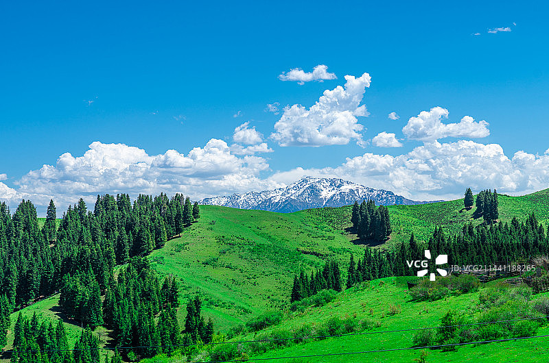 新疆乌鲁木齐南山牧场 景区 蓝天白云草原图片素材