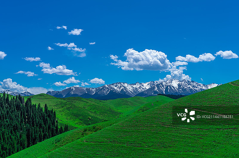 新疆乌鲁木齐南山牧场 景区 蓝天白云草原图片素材