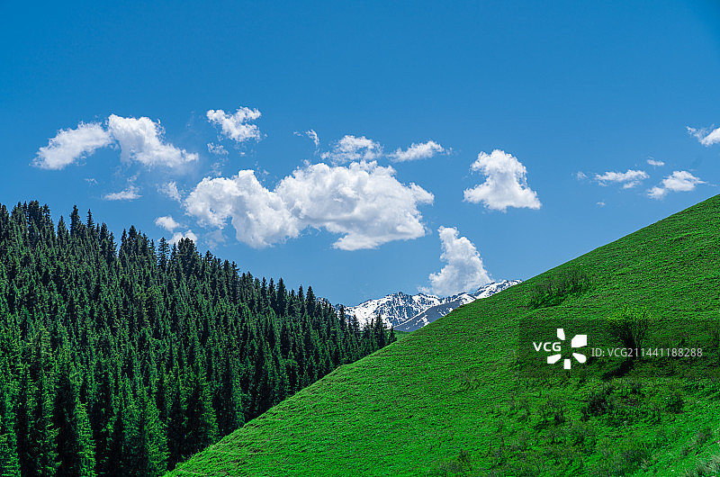 新疆乌鲁木齐南山牧场 景区 蓝天白云草原图片素材