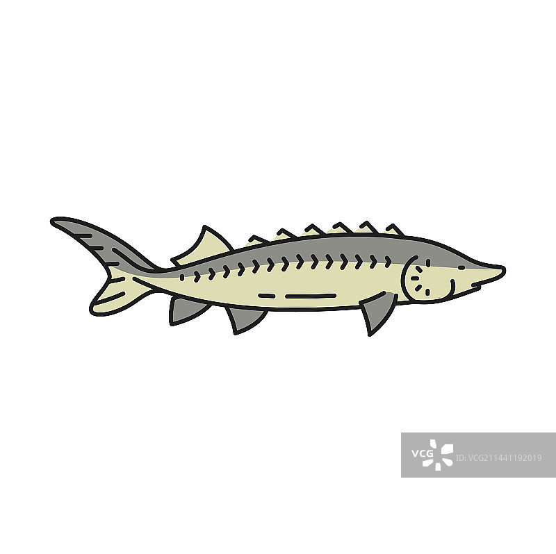 渔业鲟鱼轮廓图标图片素材