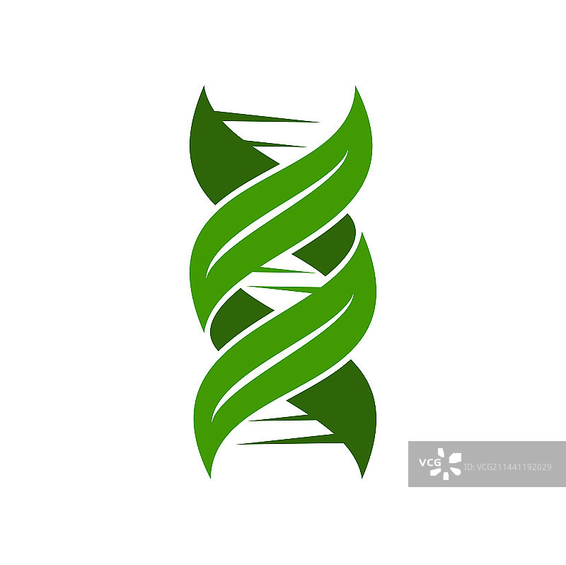 叶子DNA图标绿色基因螺旋植物符号图片素材