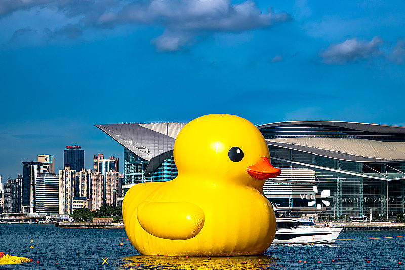 香港大黄鸭图片素材