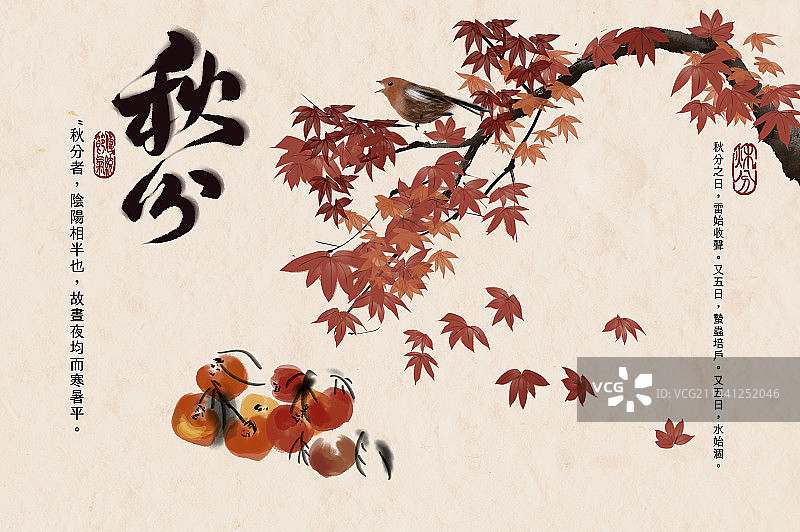 秋分,枫叶,二十四节气图片素材