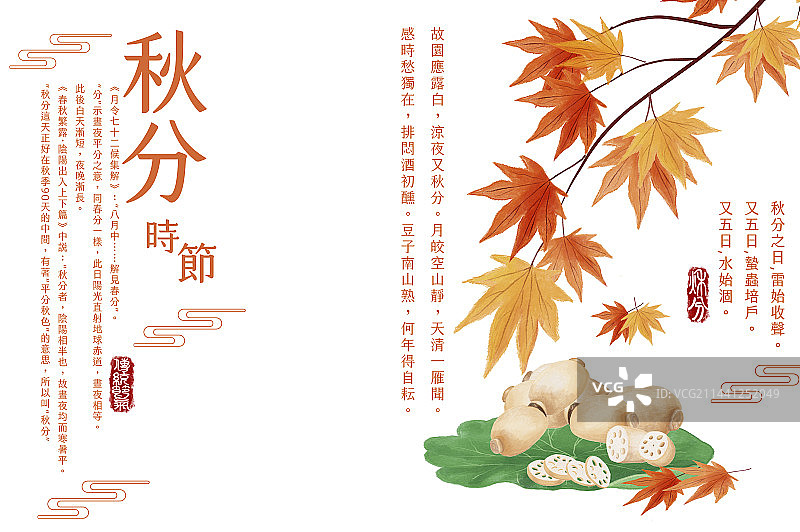 秋分,枫叶,,二十四节气图片素材