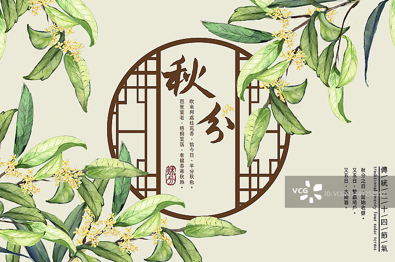 秋分,桂花,二十四节气图片素材