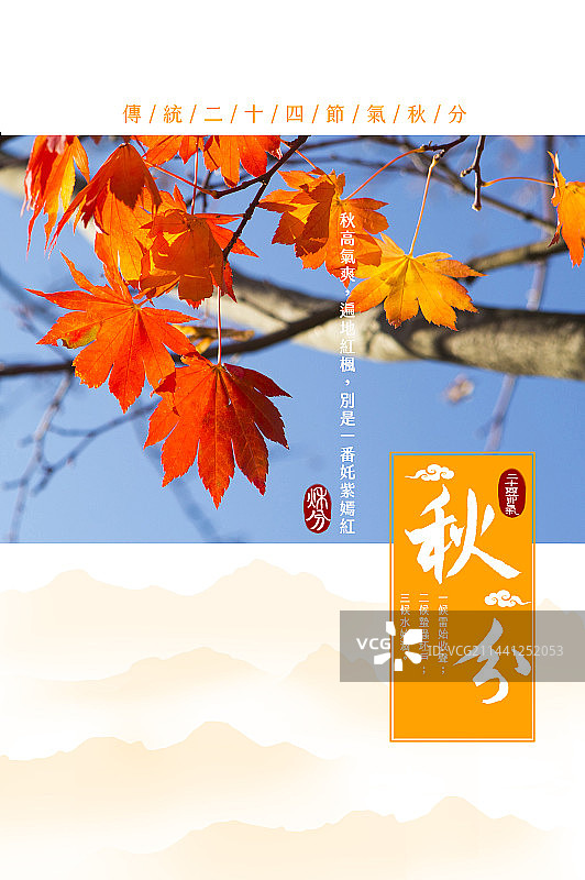 秋分,枫叶,二十四节气图片素材