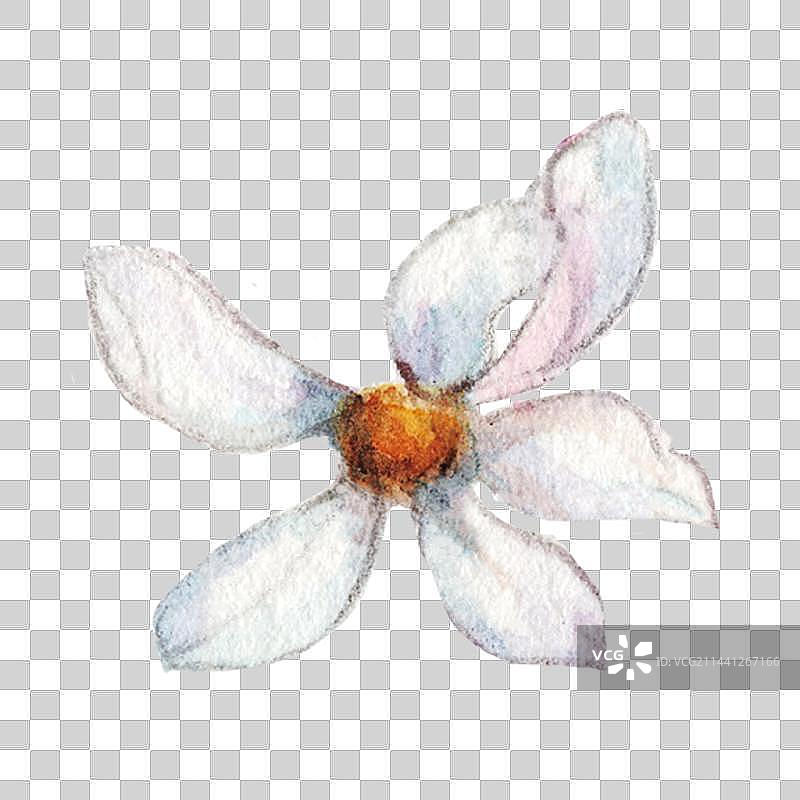 水彩手绘图片素材