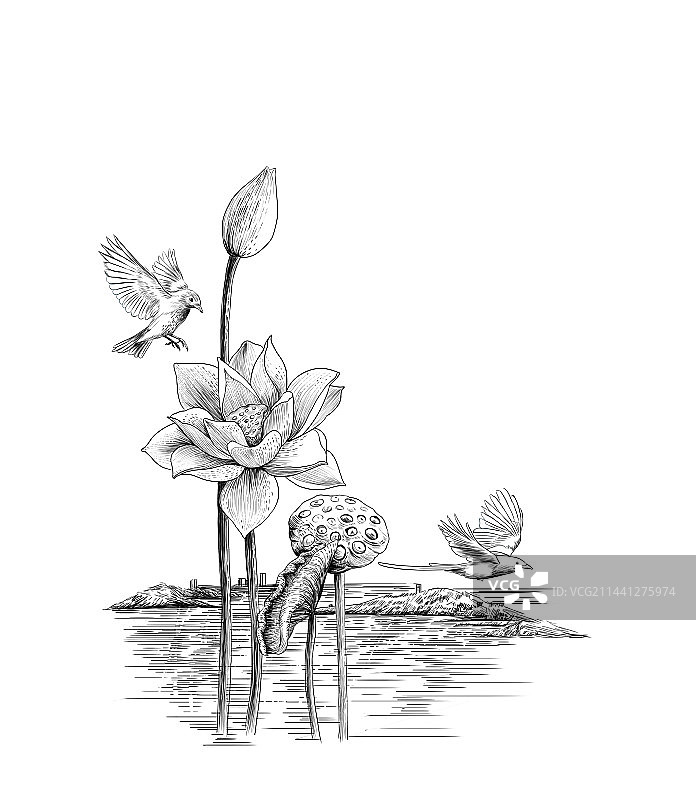 线描风景图片素材