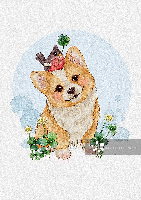 郁金香与大鹅图片素材