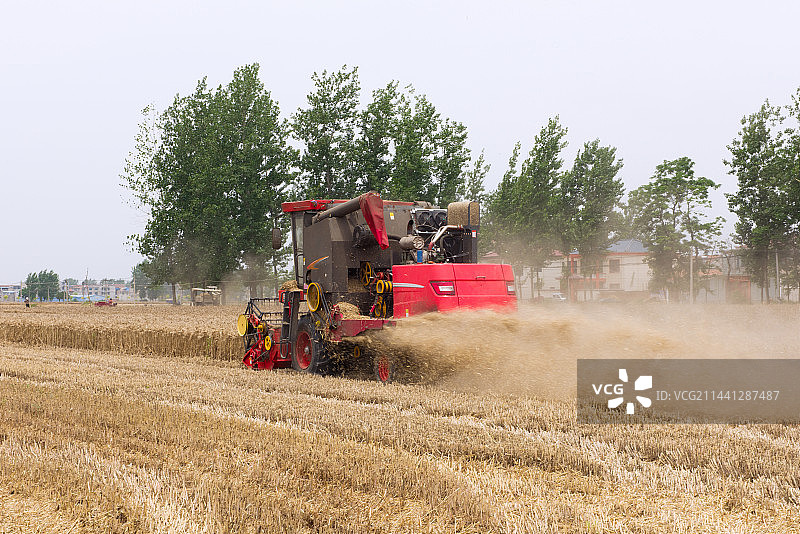 联合收割机在麦田里收小麦图片素材