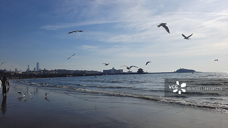 栈桥上的海鸥图片素材