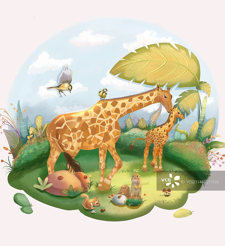 两只鹿子在吃草图片素材