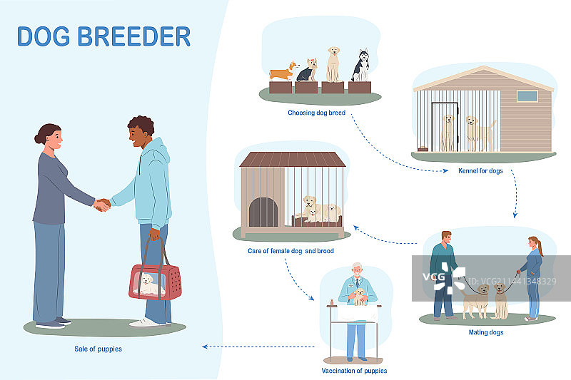 犬类繁殖员扁平信息图图片素材