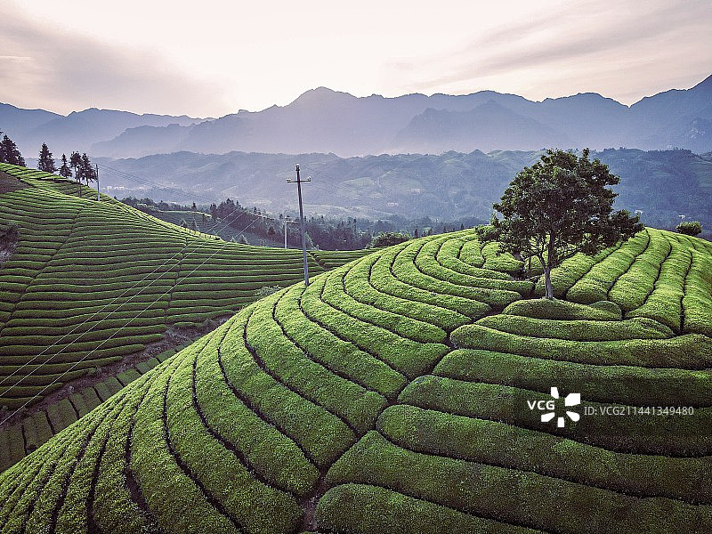 湖北鹤峰木耳山图片素材