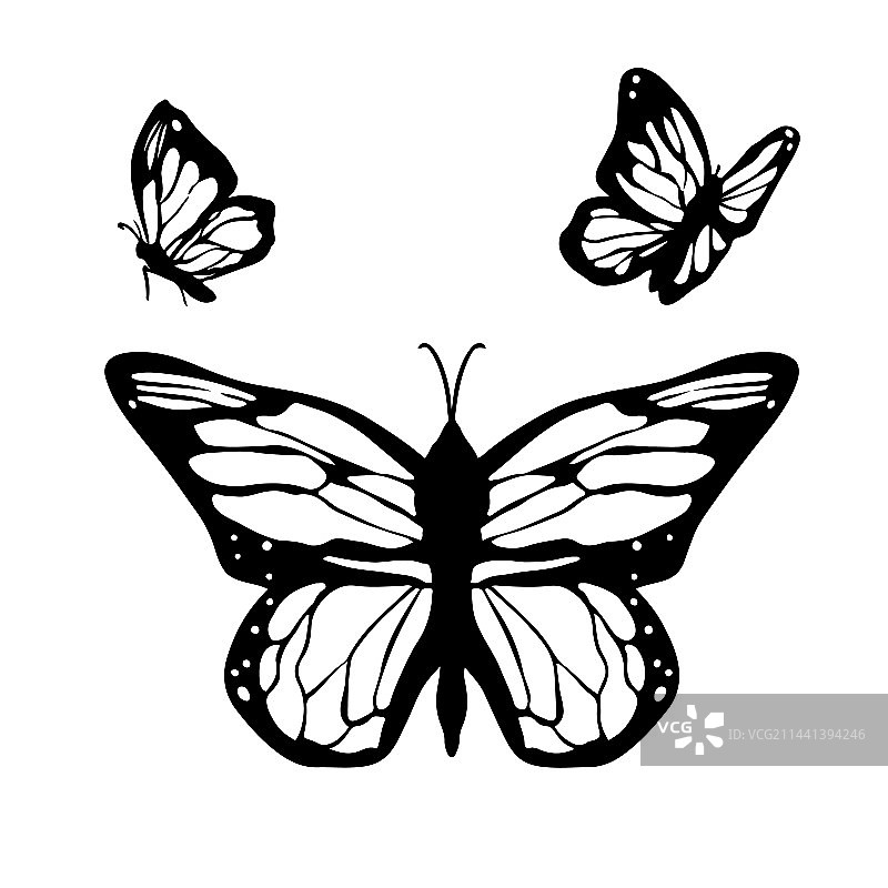 热带蝴蝶装饰元素图片素材