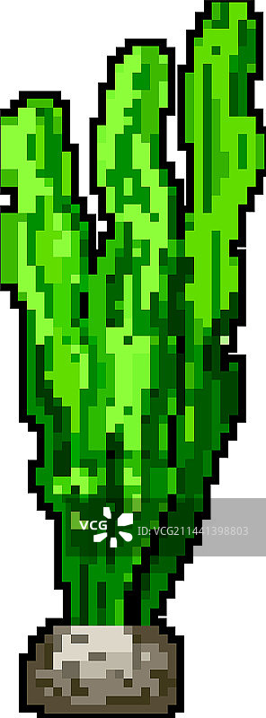 热带水族馆植物像素艺术图片素材