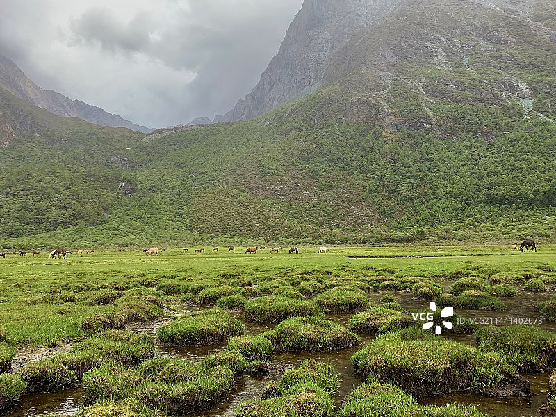 稻城高海拔山区草原牧场风光图片素材